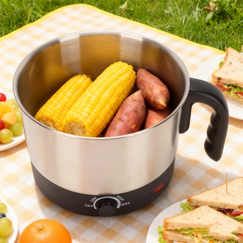 Olla eléctrica de 220 V para c - Home Cooking Electric reseña y precio