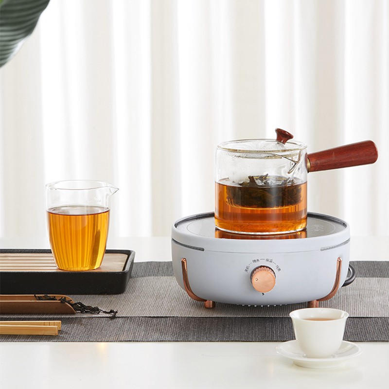 Mini estufa eléctrica de 800W, - Home Cooking Electric reseña y precio