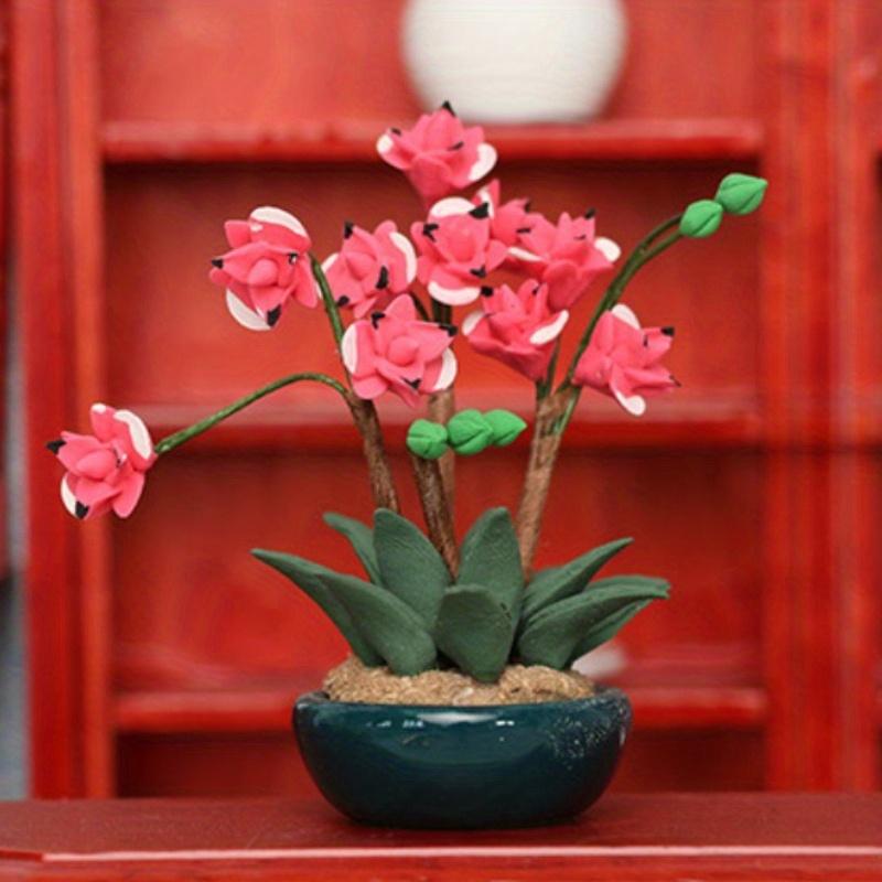 Macetas en miniatura, escena d - Tagine Clay Pot reseña y precio